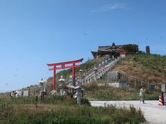 蕪島