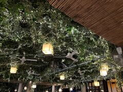 今回の旅行の最後の晩餐は、中央駅から歩いて5分程度のレストランにて。
美味しくて、中央駅近くに泊まるたびに来ているので、今回で3度目になります。
席数が多いので、予約しなくても入れなかったことはありません。