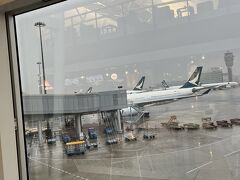 香港空港で乗り継ぎです。
帰りの飛行機、結構揺れました。食事のサービスの時に、香港式ミルクティーを頼もうとしたところでベルト着用サインが点灯。
熱い飲み物はベルト着用サインが付いてる時は提供できないと言われ、香港空港で飲もうと思ったのですが、ありませんでした。無念。

さて、東京行きの飛行機に乗りますか。イタリアの旅、終了です。
最後までお読みいただき、ありがとうございました。
