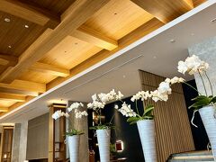 【 The JW Marriott Hotel Nara 】
https://www.marriott.com/ja/hotels/osajw-jw-marriott-hotel-nara/

2024年6月20日(木)，M君と大阪難波駅（近鉄・阪神線）で待ち合わせ，12:14発の近鉄奈良行・快速急行で新大宮へ(12:47着)。

新大宮駅前（南口駅前のりば）から，12:54発の8番のバス（四条大路南町行き）で，12:56に奈良市庁前(南)バス停着（ICカードは降車時のみタッチ）。【JWマリオットホテル奈良】は，バス停のすぐ前です。