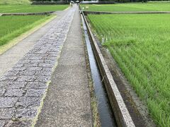 テレビで何度も見た大きな鳥居へ