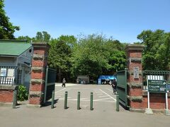 「北大祭2024」が6月7日12時から3日間開催。
北海道大学植物園から日陰の道を選びながらゆっくり歩いて20分もかからず、北海道大学南門に到着。