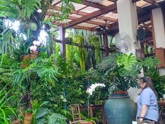 お目当てのフェリンギガーデンカフェ。
オープンより少し早く着いてしまったけど開けてくれました。