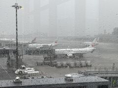 ラウンジから駐機中のJALグループ機が見えます。
