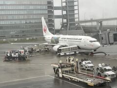 搭乗機材：B737-800。
機体番号：JA12RK。
「世界自然遺産」特別デザイン機。