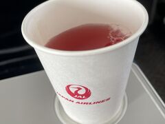 定刻通り出発してRWY06Rより離陸。

ベルト着用サインが消えて飲み物をいただきます。

