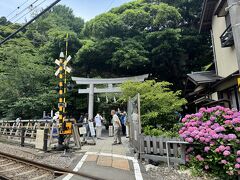 御霊神社(神奈川県鎌倉市)