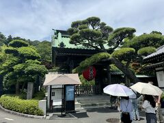 長谷寺 (長谷観音)