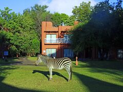 ザンビア滞在２日目の朝です。
今日も空は雲一つない青空、最高の天気です。
（建物の後ろに見えている白煙は、雲ではなくて、ビクトリアの滝の水煙です。）