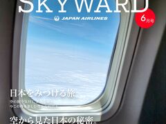 先日、所用で東京へ行きました。
その時宿泊したヴィラフォンテーヌグランド羽田空港の宿泊記です。
空港周辺に泊まりたくてホテルを探し、迷った末にこちらに。その時一番安かったアゴダで予約。朝食込みで大人2人ツイン一部屋30882円。
ちなみに飛行機はJALマイルで往復チケットを確保。JALマイルで席が非常に取りやすくなりうれしい限りです。便によってはクラスJの方が少ないマイルで乗れるのはなんでだろう。