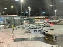 ヘルシンキヴァンター国際空港 (HEL)