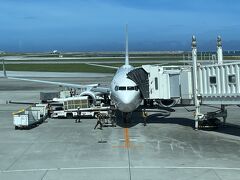 定刻より10分早く那覇空港RWY18Rへ着陸。