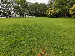 草刈りされてスッキリした広場，一週間もせずにシロツメクサが覆い始め，夏季の草刈り手入れは容易でなく大変だ。横浜市が徴収する「みどり税」が活かされ，公園協会のプロの方々が計画的にいつもどこかを手入れ維持されていて有難い。