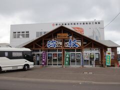 海紋