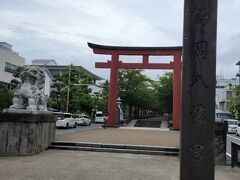 鶴岡八幡宮です！
まずは、信号を渡って、若宮大路の参道を歩きます。
桜の木に囲まれているせいか、涼しく感じます。