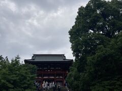 手水を済ませ、本宮のほうへ階段を上がります。
七夕飾りがありました。
ステージも設営していて、何かイベントをするのかな？
石段の左側に、イチョウの切り株と若い木があって、なんとなく気になって枝に触らせてもらいました。
ご神木でした！
切り株のほうは、元のご神木で、風で倒れてしまったそうです。
