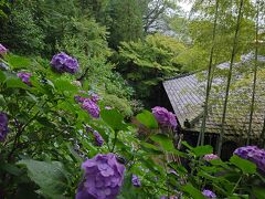 長谷寺 (長谷観音)
