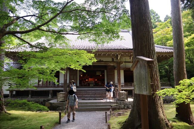 気ままな関西一人旅 その②大原三千院～寂光院～瑠璃光院～上