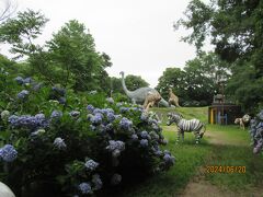 シャトルバスで15分ぐらい森林公園アジサイ園につきました
恐竜達と一緒に紫陽花散策を楽しみます