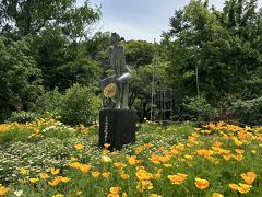 ＜5月18日＞
今年開園100周年を迎えた、京都府立植物園のバラも見頃となりました。