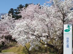 　次に「弥彦」(  https://www.e-yahiko.com/  )にも立ち寄りました。