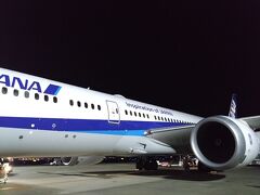 20：30　羽田到着！

まさかの沖止め。
この後、この機材はドッグ入りかしら？？？と思っていたら、NH890は毎日沖止めだそうです。＾＾；

＝おしまい＝

長い旅行記、最後まで読んで下さり有り難う御座いました。<(_ _)>

