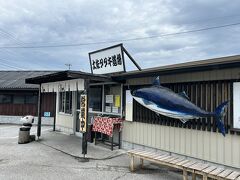 土佐たたき道場