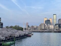 大川沿いの桜も満開です。天満橋から見るのもいい。