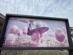 別の日ですが、万博記念公園の桜ＥＸＰＯ２４へも行きました。