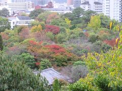 【16日目】11月6日（月）その4　曇り
16:00　西の丸渡櫓から好古園が見えます。