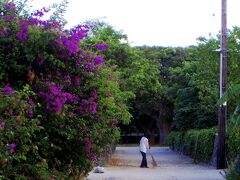 島旅は泊まるに限りますよね
最終船が石垣に帰り
それからが島時間
そしてこういう朝
朝早くから家の前
掃き清めます・・・

うつぐみのこの島
ズッと続いてますよね
半世紀近く見て来たノスタルジジですが
いつも感動の朝
