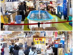 ここではイカ釣りができるのです。7時の受付からすぐに行列ができました。