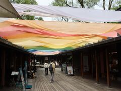 白糸の滝からハルニレテラスへ。
今年110周年を迎える軽井沢星野エリア。記念イベントのひとつとして、「Organic Wind（オーガニック ウィンド）」を初開催。
110色の草木染がたなびく「Organic Wind」