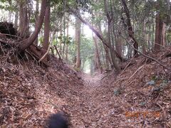 空堀ですね。
次男坊がはしゃぎ過ぎ・・・突っ走り。
頭が写ってしまいました（笑）