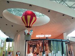 ヘルシンキ・ヴァンター国際空港に到着。
シェンゲン協定圏内に入り、入国審査はここで済ませます。

日本のパスポートだと自動化ゲートも利用できるのですが、スタンプ欲しさに審査官がいる方に進みました。
そしたら運悪く質問攻めの審査官にあたり、めちゃくちゃ時間かかりました…。
一方ですいすい進んでいる窓口も。
私たちの前の日本人もかなりしつこく聞かれていて嫌な予感はあったのですが。

空港にてムーミンショップを発見。