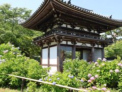 諸々手配した後、2日目の予報が変わってしまったため、行程を変え、基本的に行きたい所から順番に訪問することにしました。

京都駅からレンタカーでまず向かったのが、福知山の丹州華観音寺。
なんとか最寄りの駐車場に車を止め境内に向かいます。