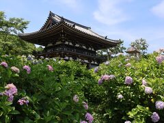 そして、ようやく見たかった景色を見られました。
この後とんぼ帰りでまた京都市内方向に戻って、宇治・三室戸寺へ向かいました。