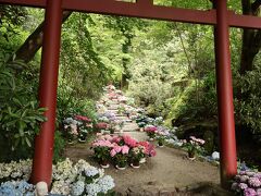 2日目、曇りとなってどこに行こうかと思ったけど、いい案が浮かばず、当初予定の奈良のあじさい回廊に。
まずは壷阪寺へ行こうと宿を出発したけど、途中に岡寺の案内があってまず岡寺へ。