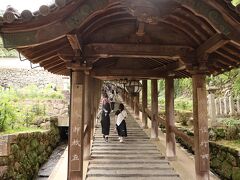 続いて向かったのは長谷寺。
正直行く前はあまり気乗りしなかったです、以前一度行ったことあるし、ただ鉢植えのあじさいが階段においてあるだけでしょと。