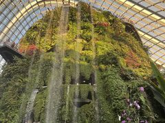 そんなこんなで荷物が手離れし、クラウドフォレストに入れました。メインの滝は、想像以上の水量で大迫力。とても気持ち良いスポットでした。