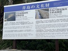 青島は歴史がある神社でした。