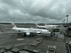 ３月にJALのホームページでマイル旅行を探していたら、GW中でも、グアムが2万マイルで取れそう。。。燃油サーチャージ38,900円と結構しているけど、家内と二人で行ってみることにしました。