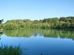 7、8分ほど歩いて行くと、その池があり、池の周囲は散策路になっていました。池の水面が見えると頃まで進んで行くと、このような映り込みがある風景が！
