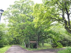 ※佐倉城址公園

佐倉の時季は綺麗かもしれませんね＾＾