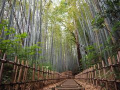 サムライの古径「ひよどり坂」