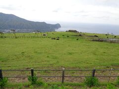 「八丈富士ふれあい牧場」に到着．とても東京とは思えない風景で，牛が沢山いました．