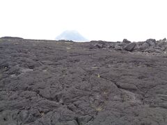 でも，千畳敷は昔のままでした．