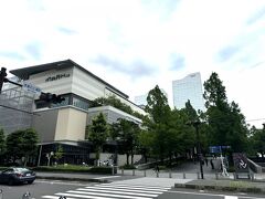 いちょう通りを隔てて反対側は、横浜美術館の前、グランモール公園です