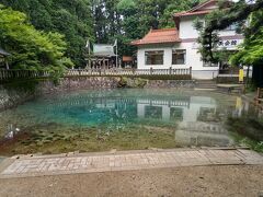 元乃隅神社から約1時間、別府弁天池に到着です。

元々ここ、別府弁天池は立ち寄る予定はありませんでした。
ですが、秋吉台へ向かう途中にあるのと、旅行ガイドでお勧めされていたこともあり、急きょ立ち寄ることに。