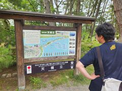 天橋立を　先まで　歩いて行くのか？